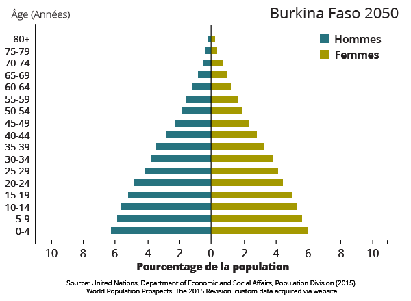 La Pyramide Des âges Du Burkina Faso 7433